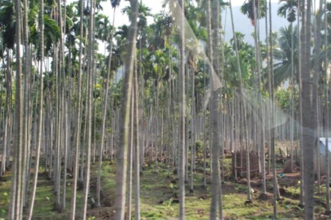 Photo of Others in Coonoor