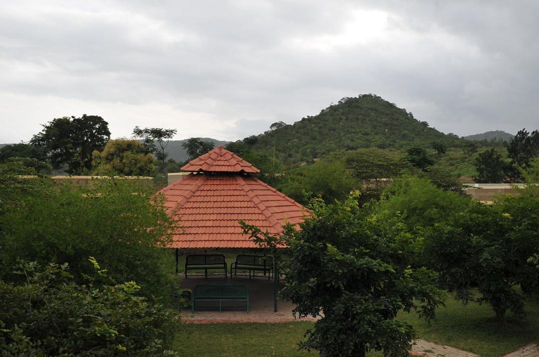 Photo of Others in Bandipur