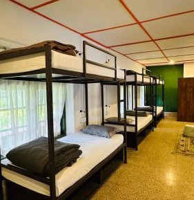 Bunk Bed in Mixed Dormitory Room