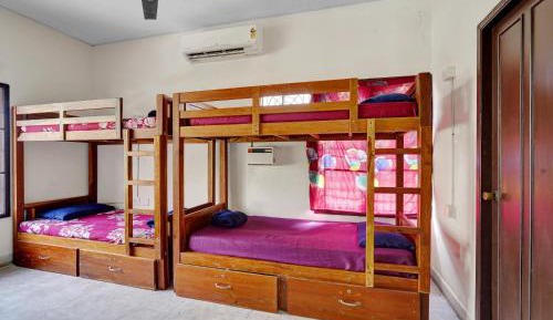 Bed in 8-Bed Mixed Dormitory Room