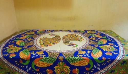 Single Bed in Mixed Dormitory Room
